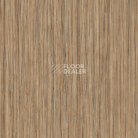 Кварцвиниловые полы Forbo Allura Click 61255CL5 natural seagrass фото 1 | FLOORDEALER